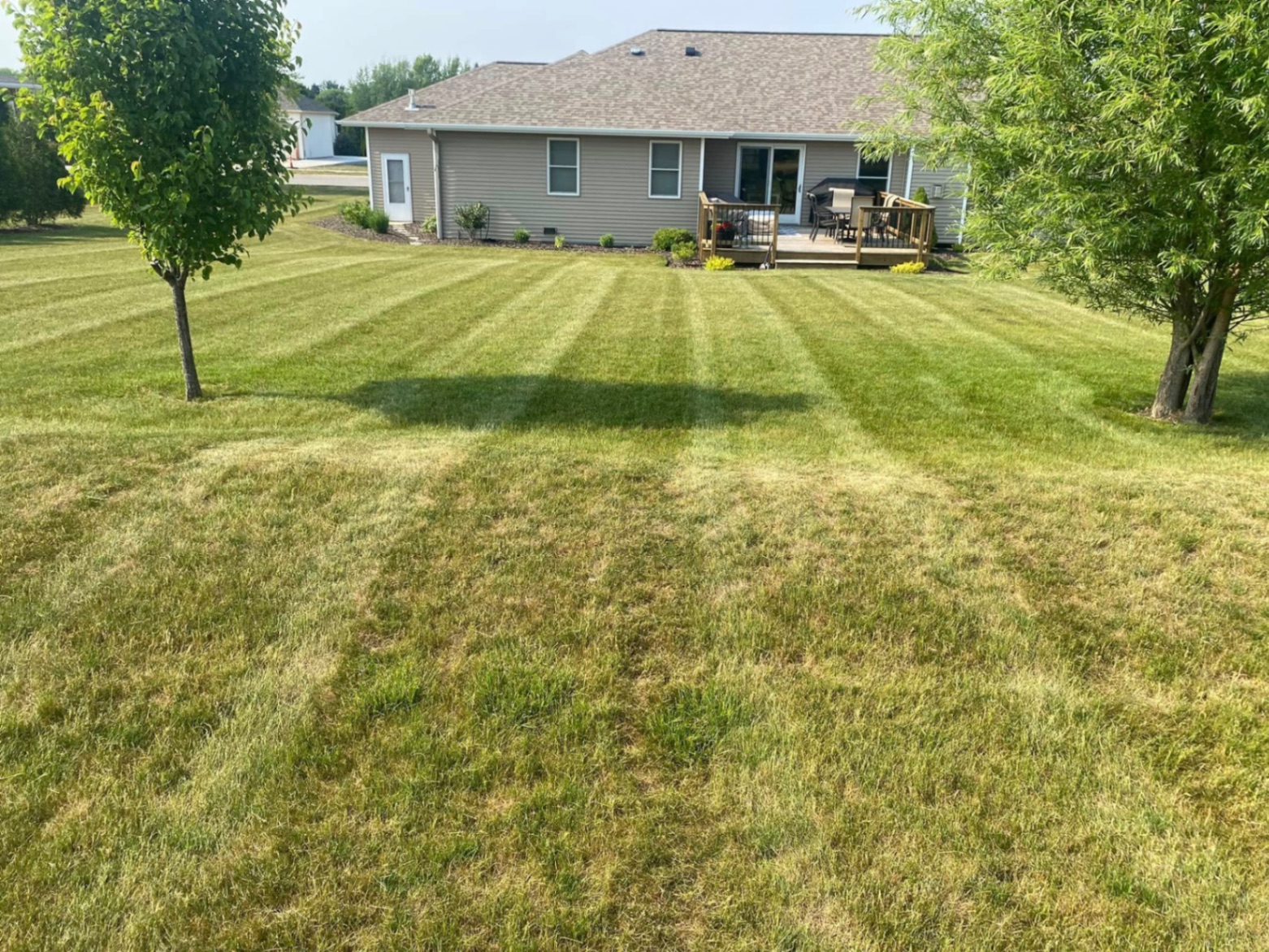 Lawn Mowing & Stripes